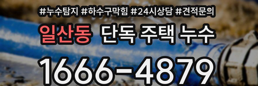 일산동 단독 주택 누수