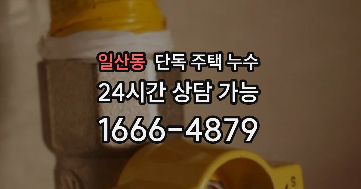 일산동 단독 주택 누수