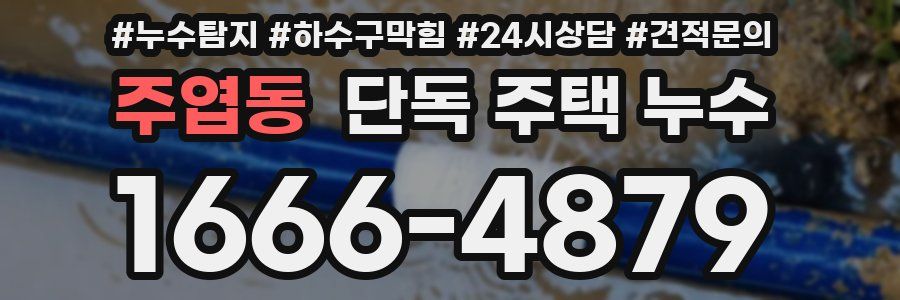 주엽동 단독 주택 누수