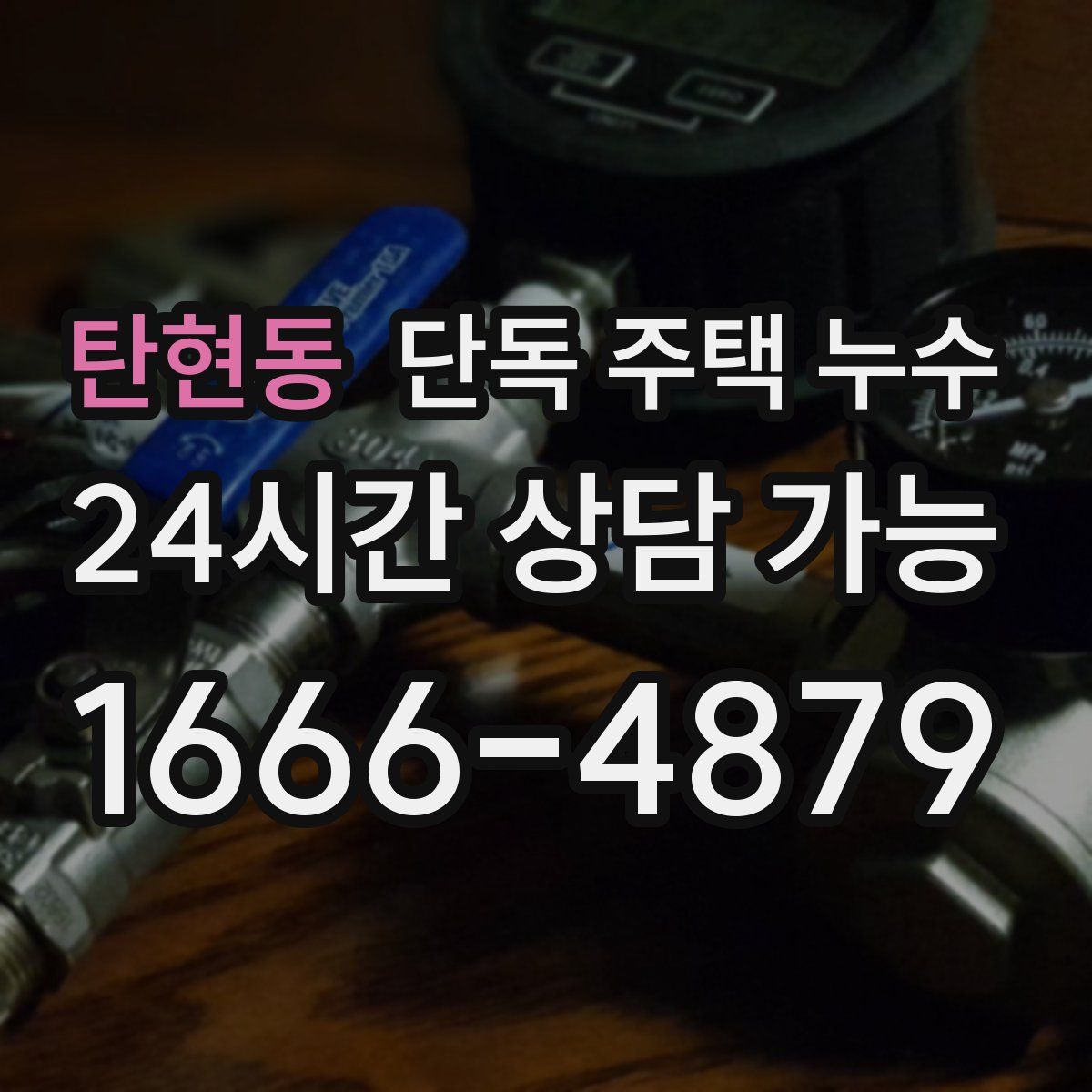 탄현동 단독 주택 누수