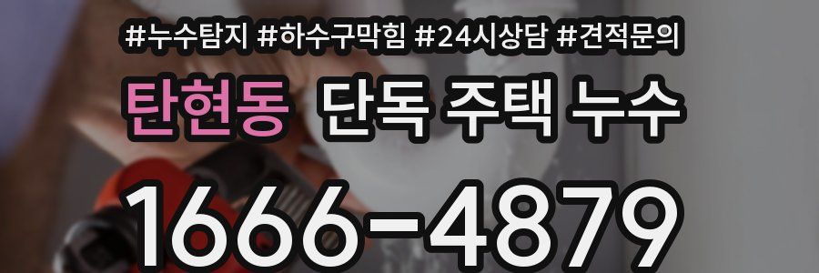 탄현동 단독 주택 누수