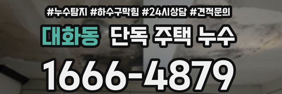 대화동 단독 주택 누수