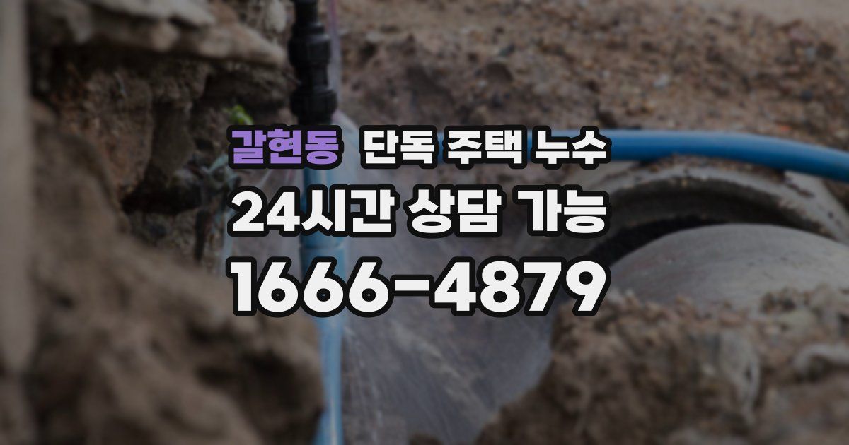 갈현동 단독 주택 누수