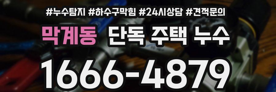 막계동 단독 주택 누수