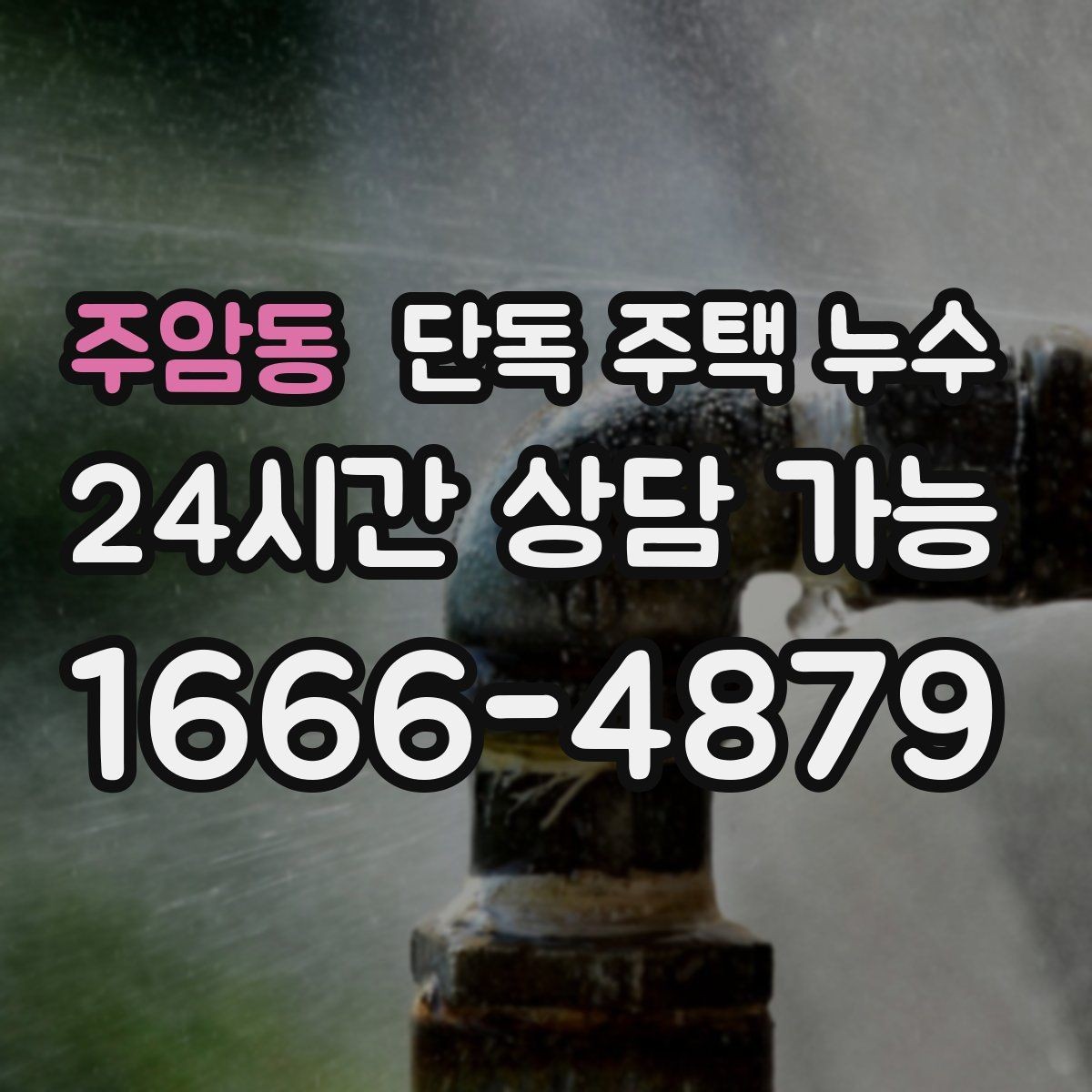 주암동 단독 주택 누수 벽 안쪽에서 물소리가 들리는 경우 대처