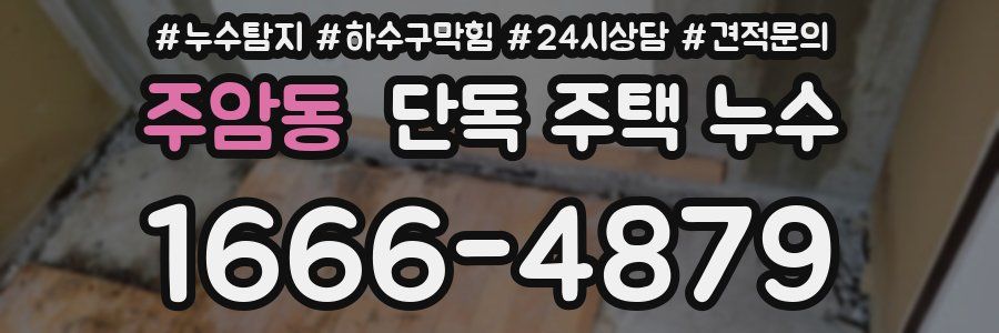 주암동 단독 주택 누수