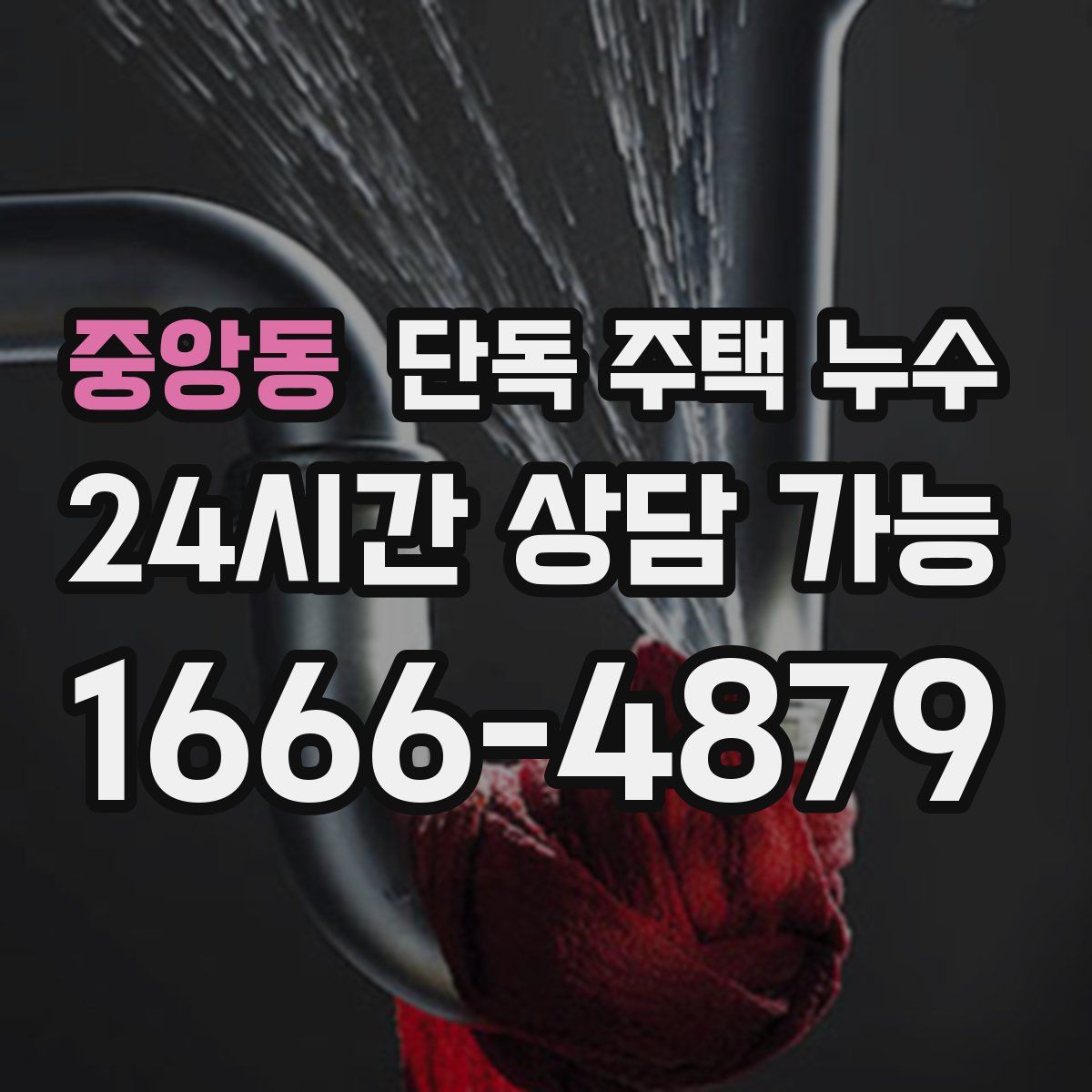중앙동 단독 주택 누수