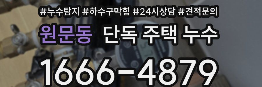 원문동 단독 주택 누수