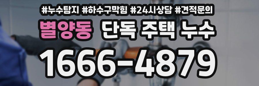 별양동 단독 주택 누수