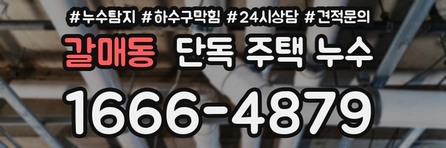 갈매동 단독 주택 누수