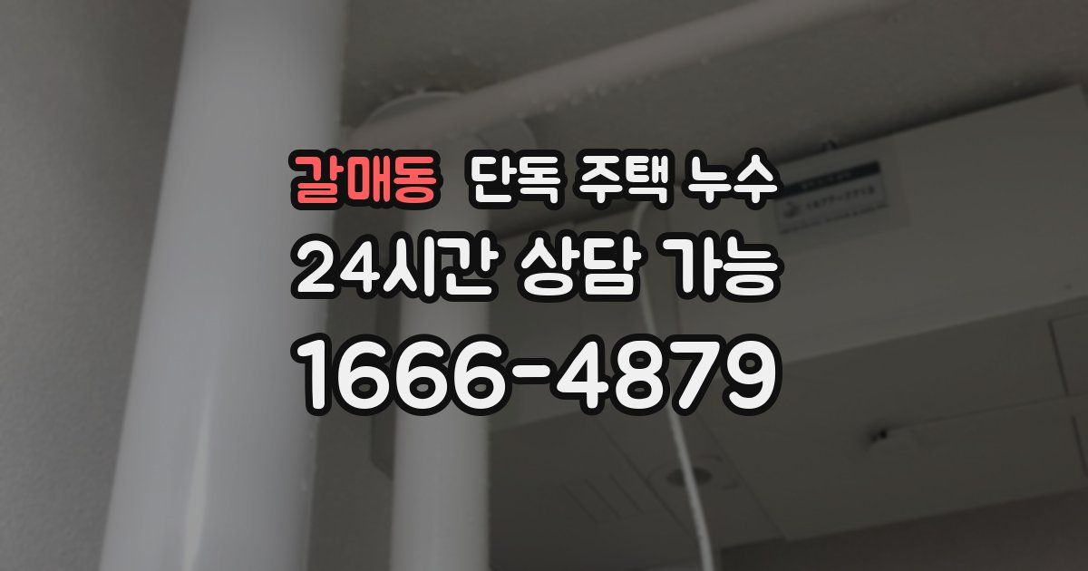 갈매동 단독 주택 누수