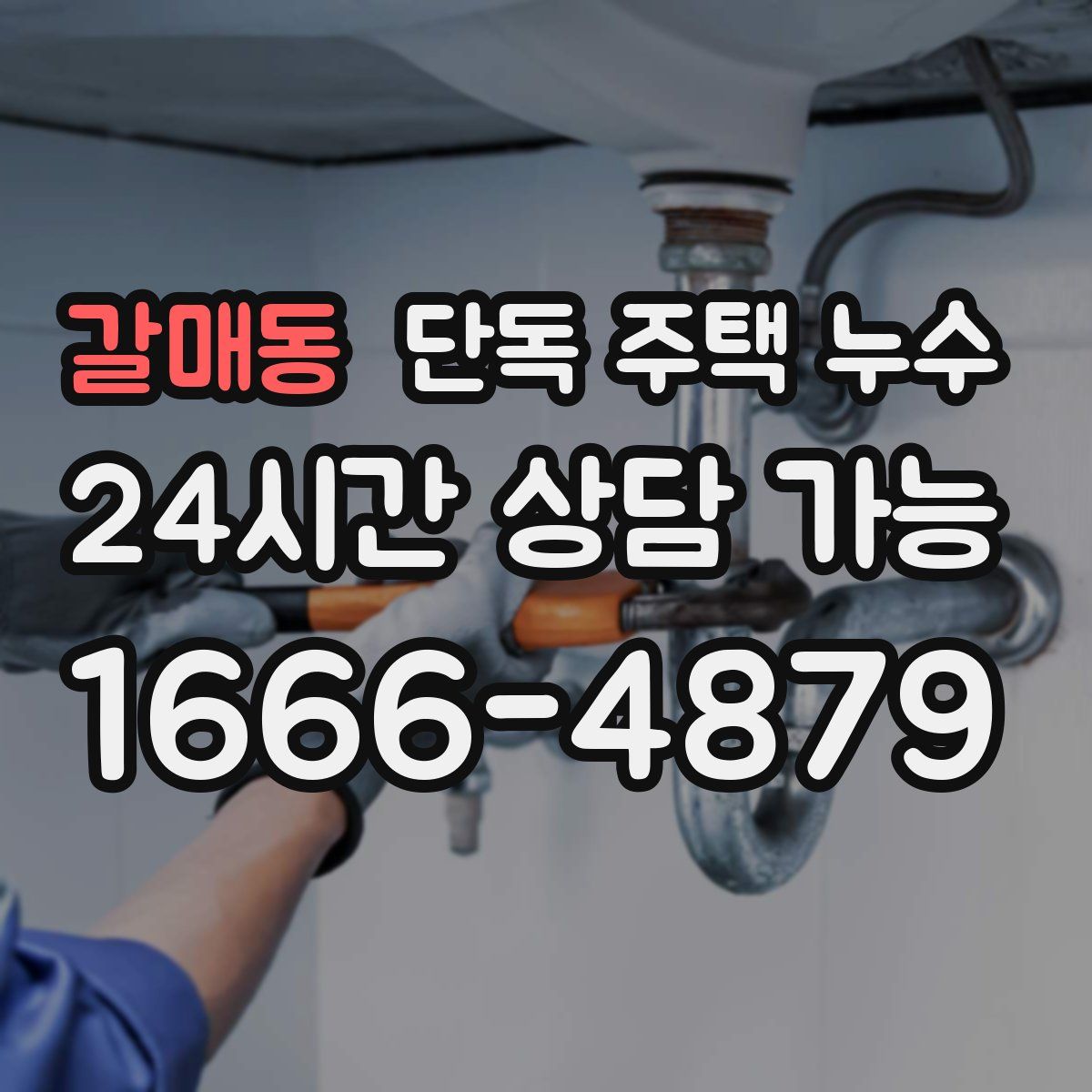 갈매동 단독 주택 누수