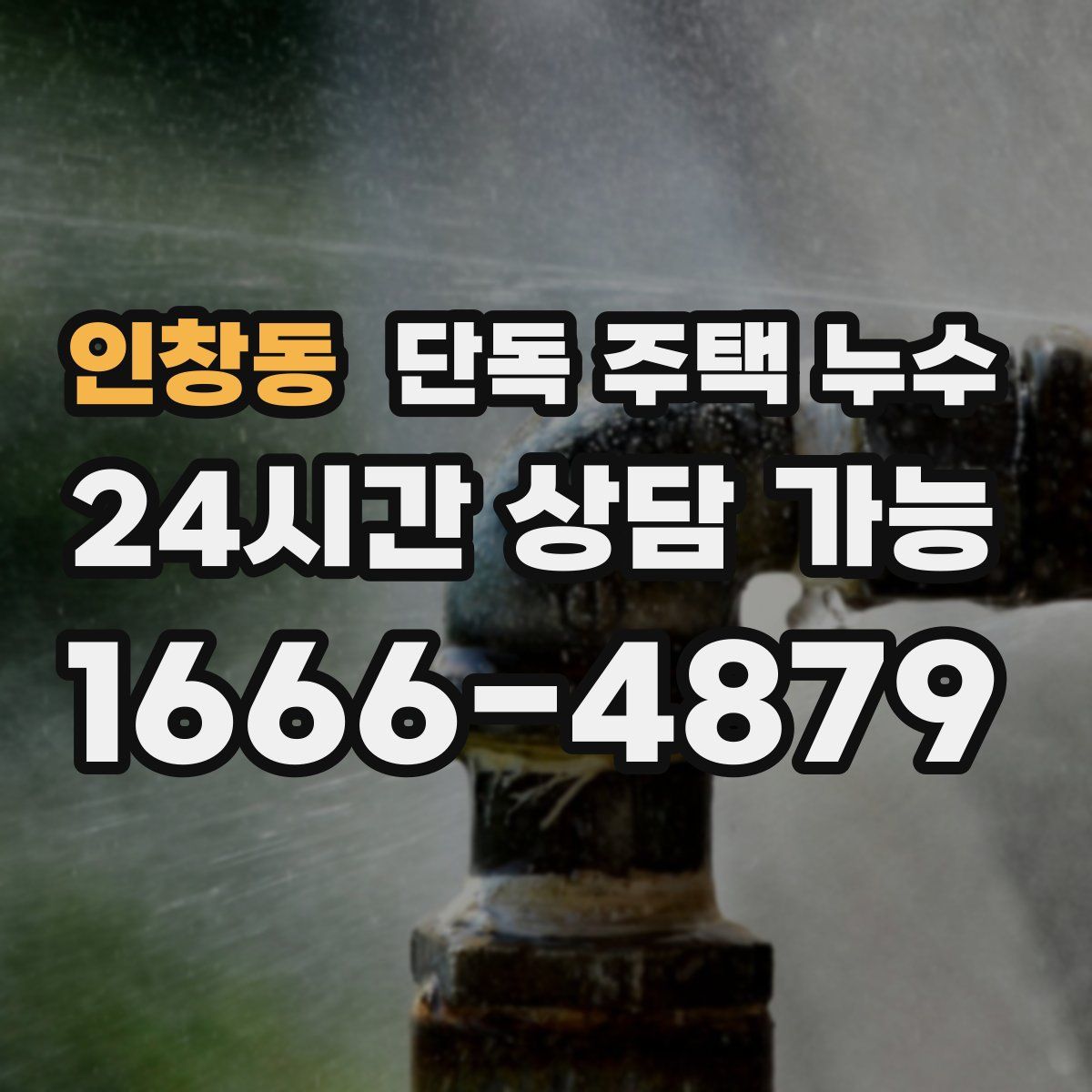 인창동 단독 주택 누수