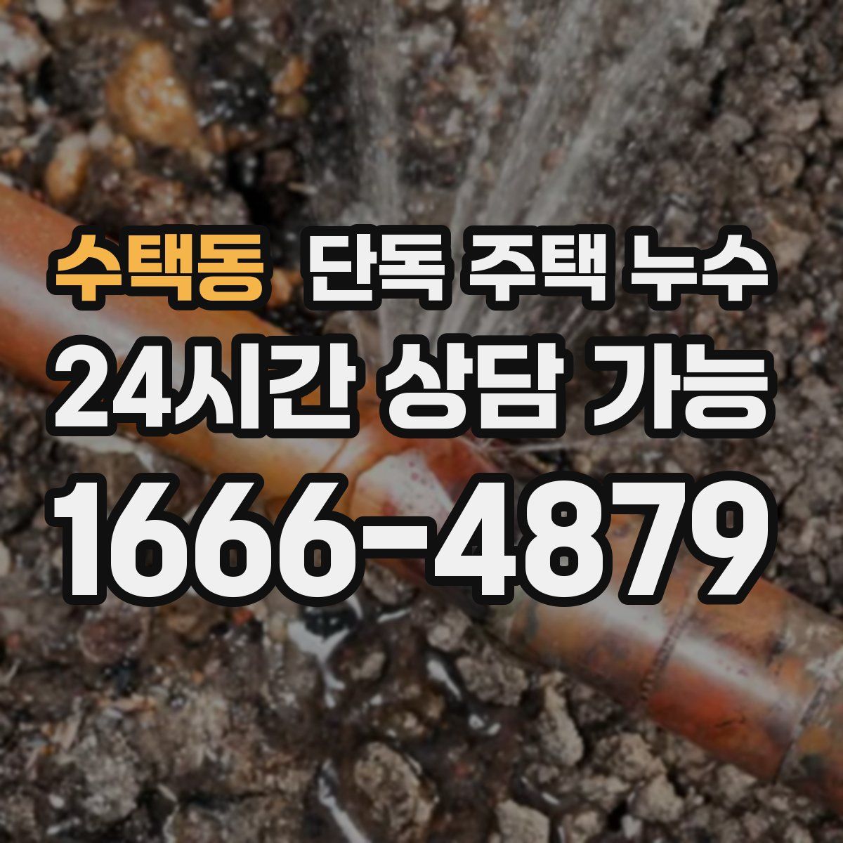 수택동 단독 주택 누수