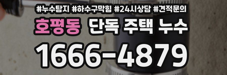 호평동 단독 주택 누수