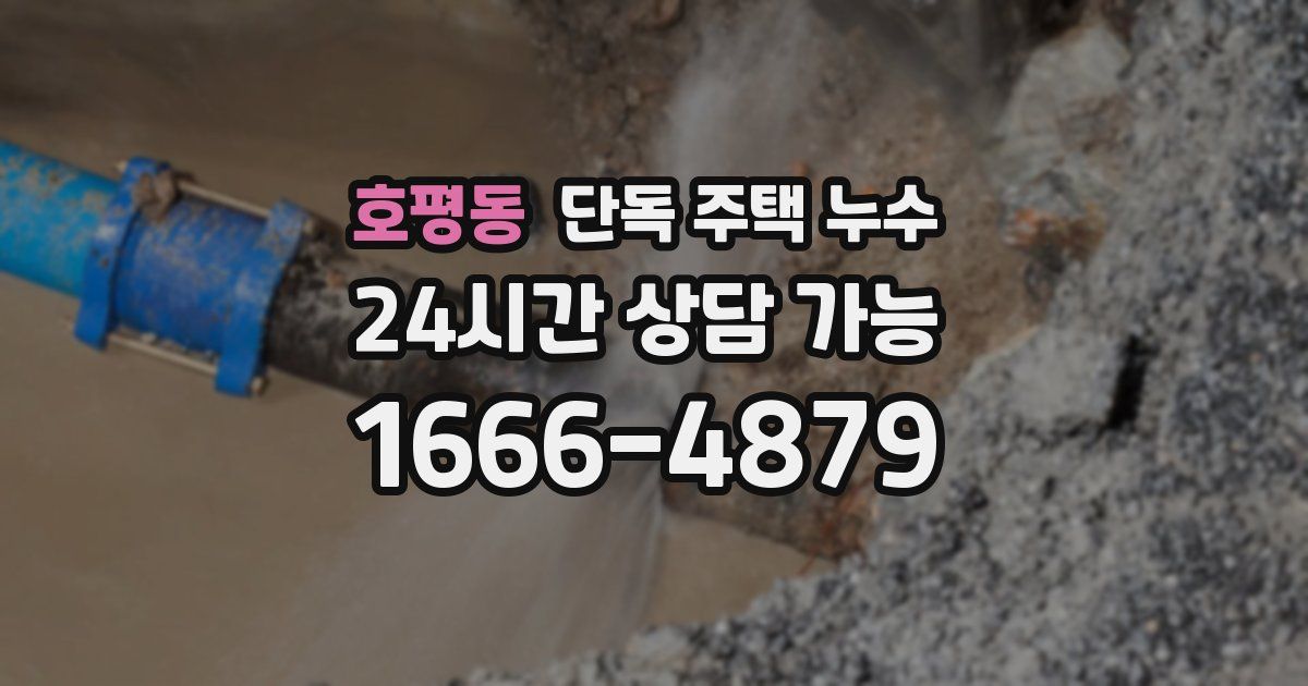 호평동 단독 주택 누수