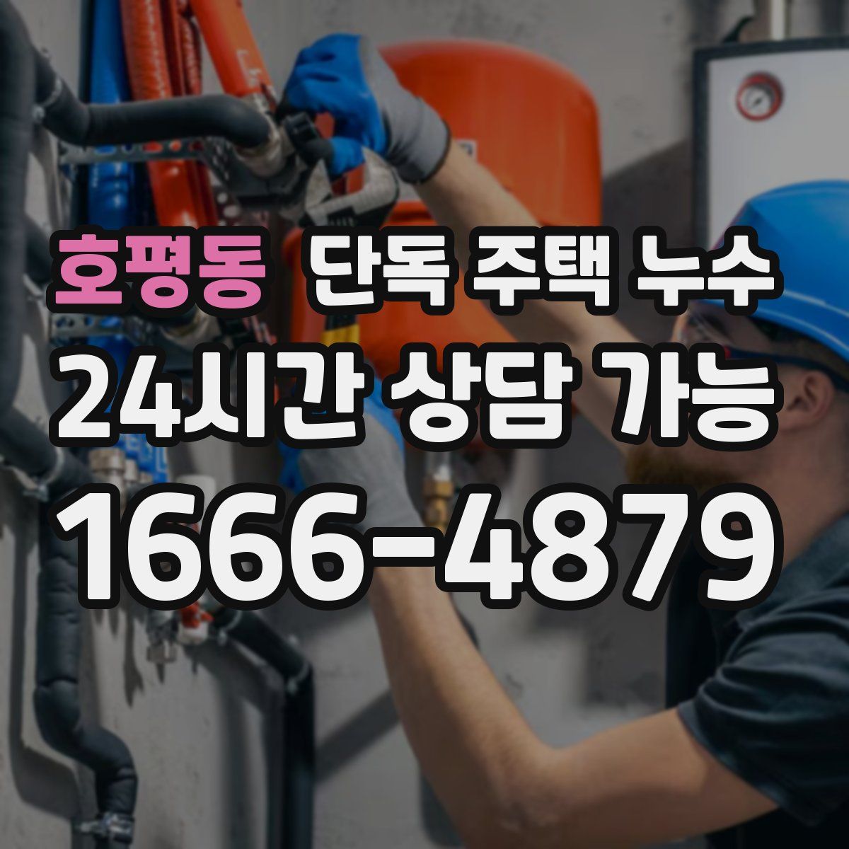 호평동 단독 주택 누수