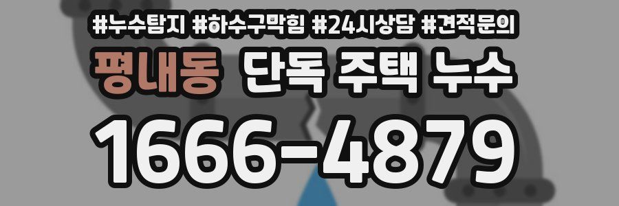 평내동 단독 주택 누수