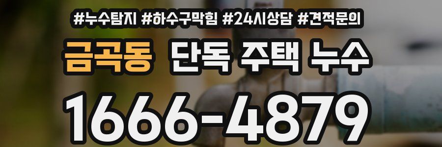 금곡동 단독 주택 누수