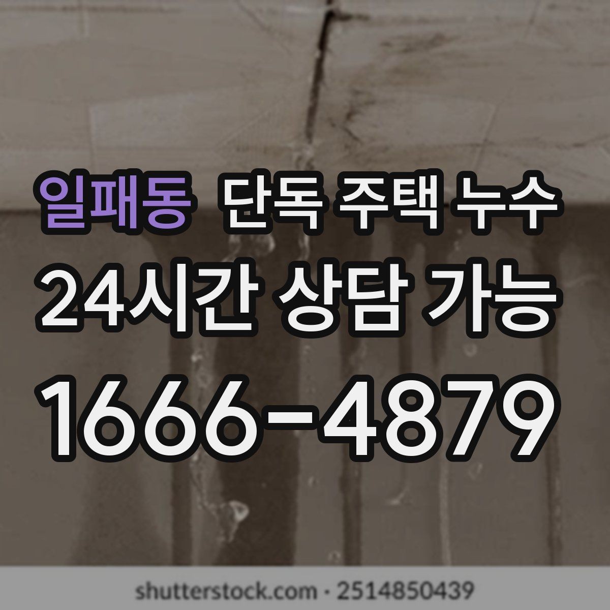 일패동 단독 주택 누수 수리 전 도배 장판을 하면 안 되는 이유
