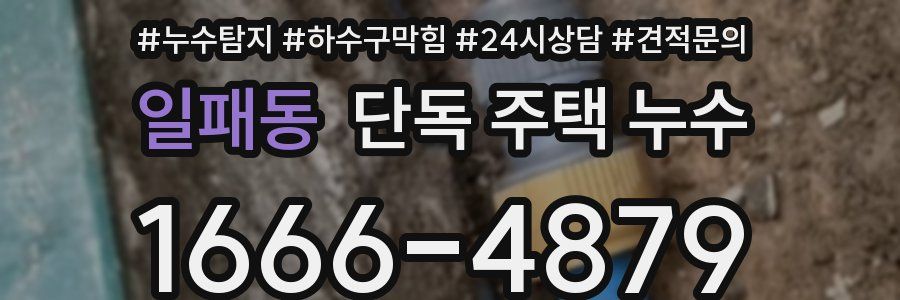 일패동 단독 주택 누수