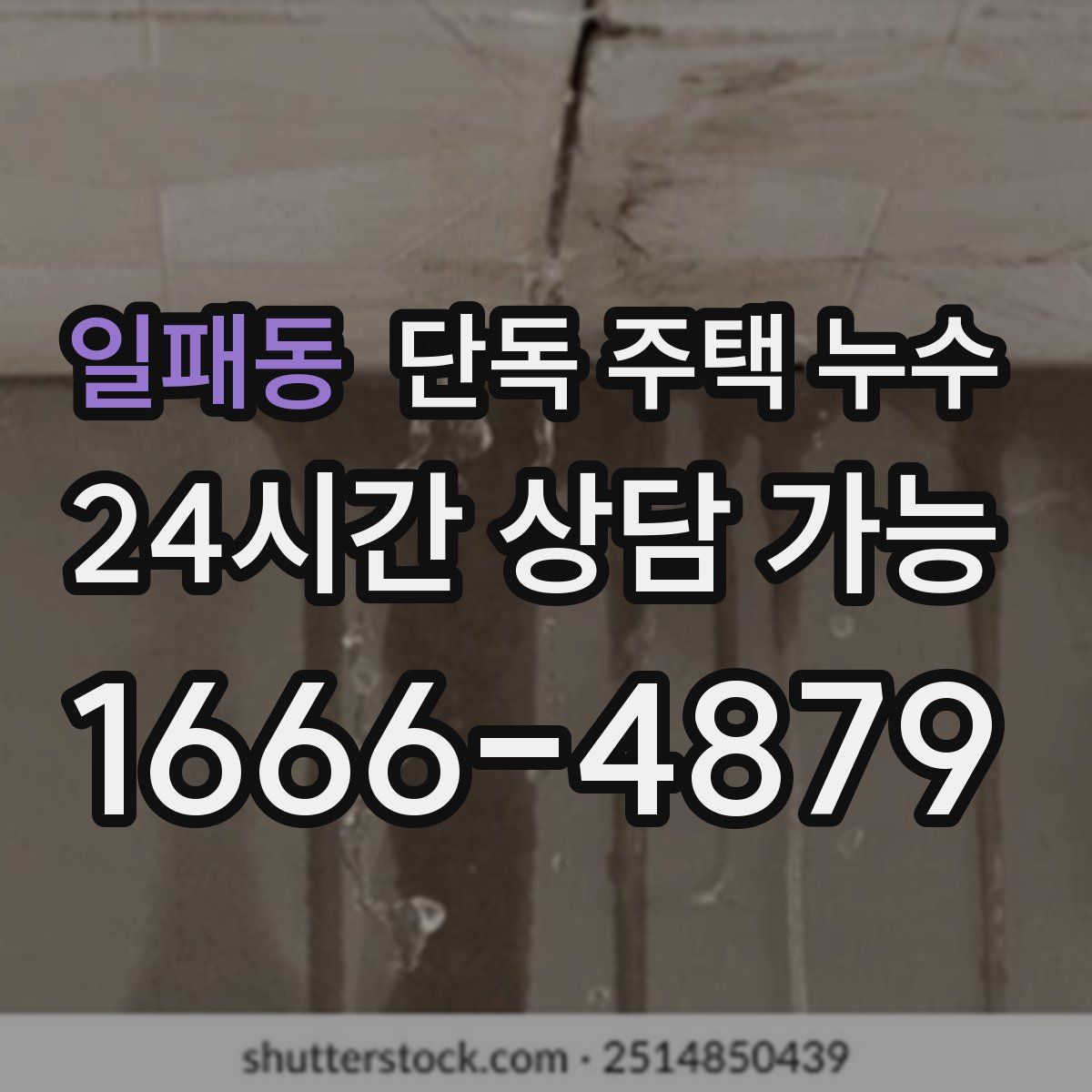 일패동 단독 주택 누수