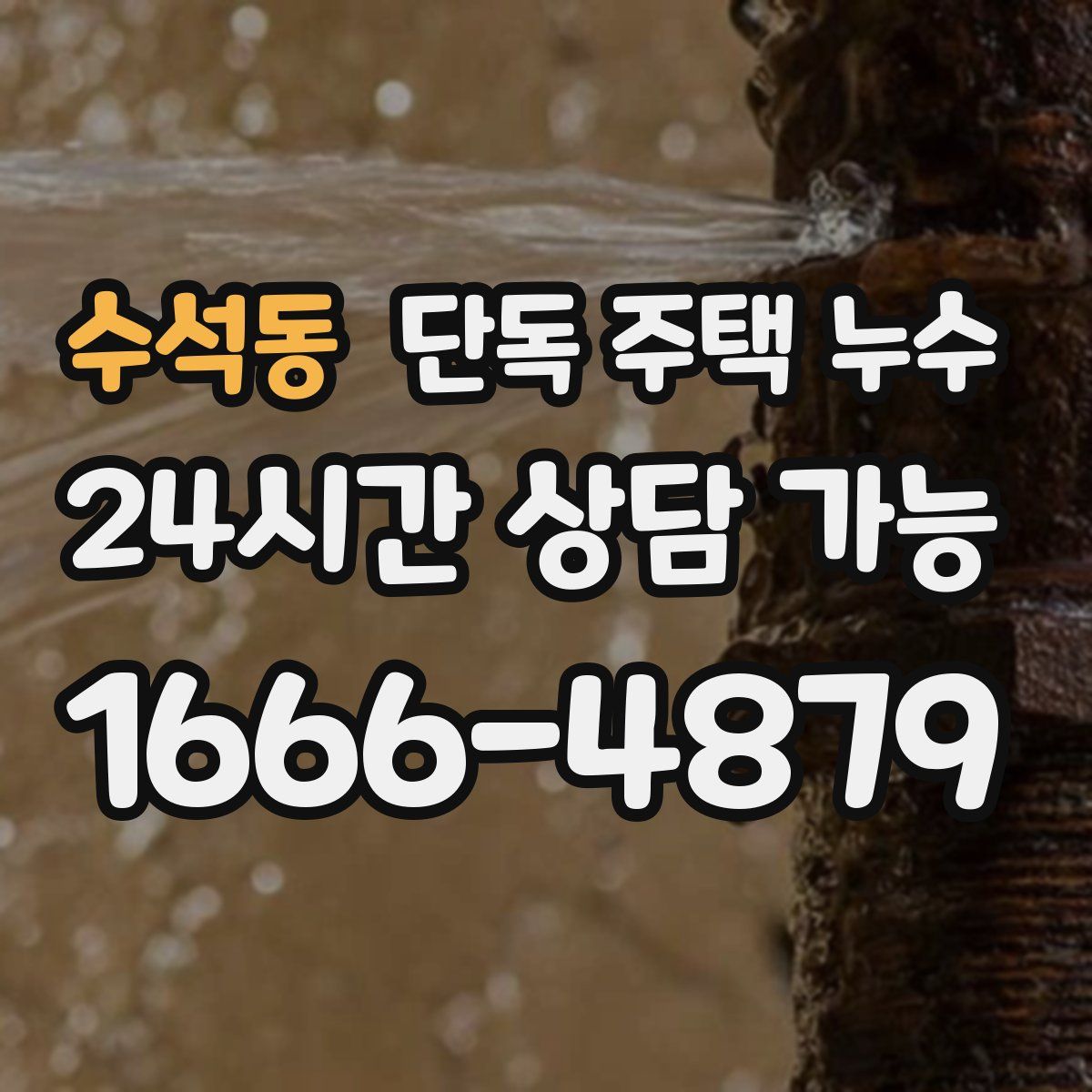 수석동 단독 주택 누수