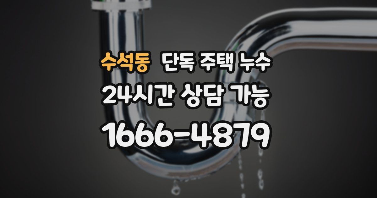 수석동 단독 주택 누수