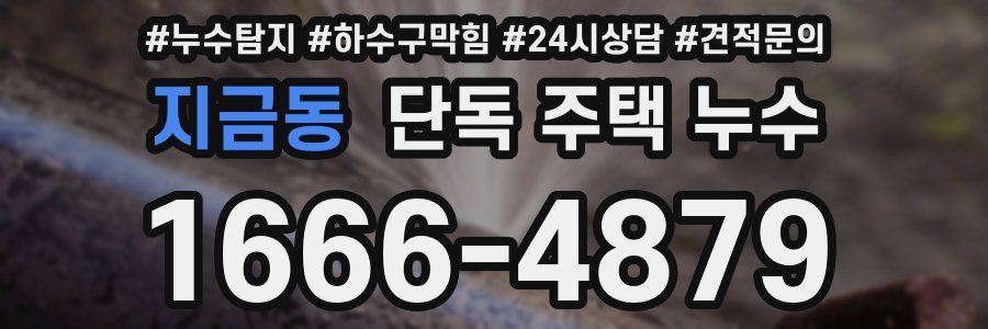 지금동 단독 주택 누수