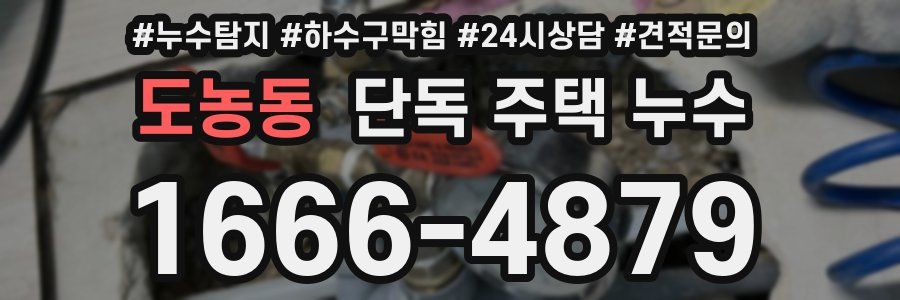 도농동 단독 주택 누수