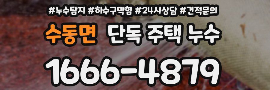 수동면 단독 주택 누수