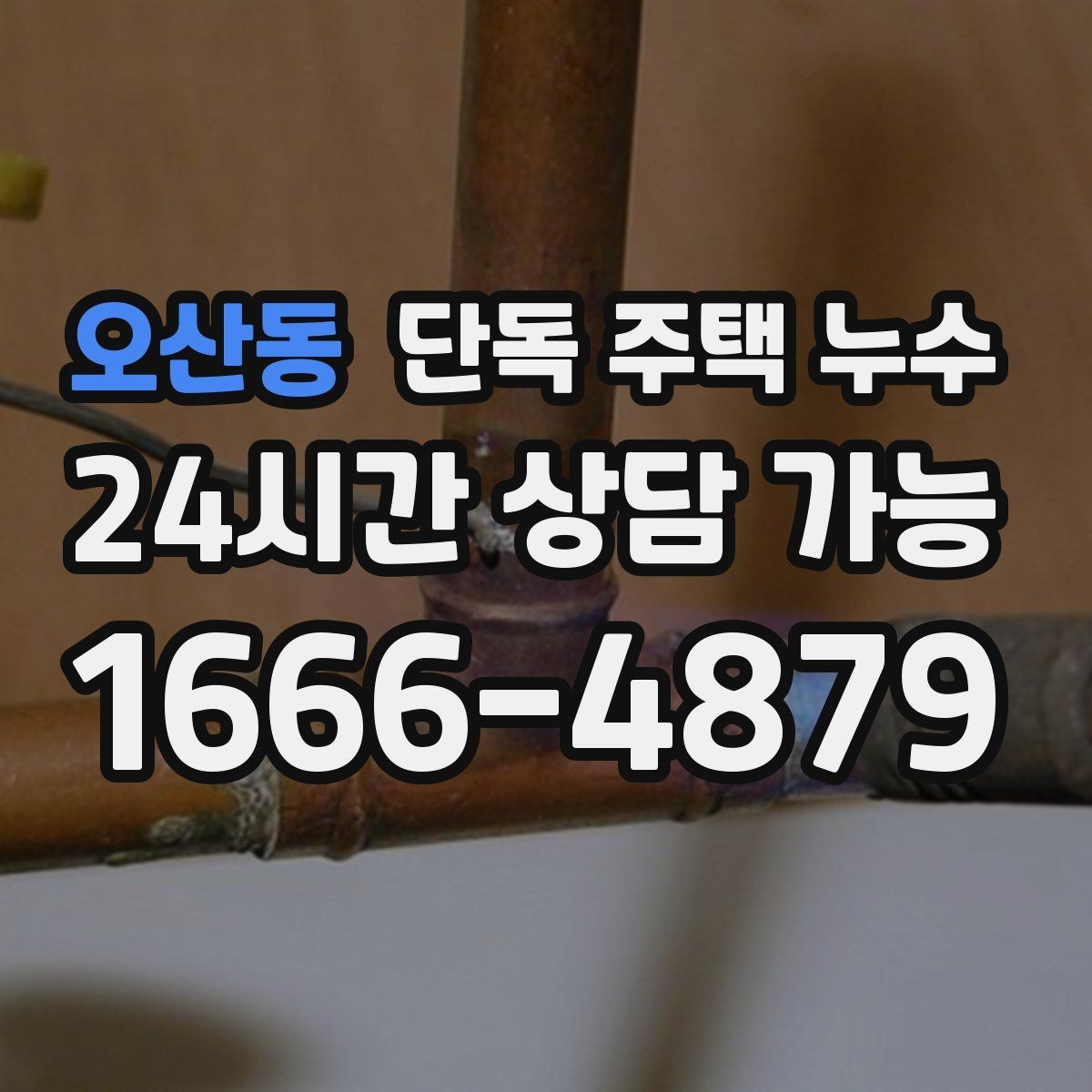 오산동 단독 주택 누수 햇빛이 강한 날에도 벽이 축축한 이유