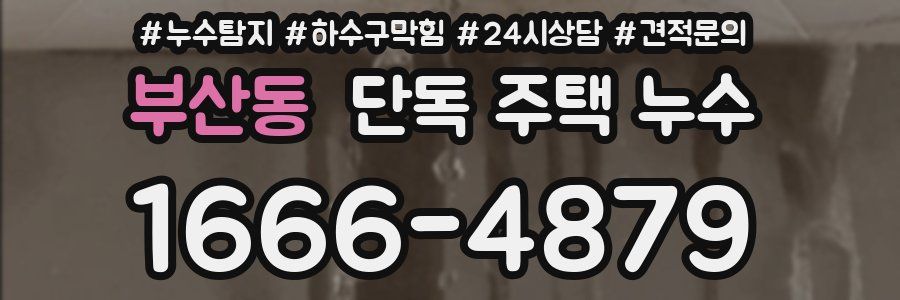 부산동 단독 주택 누수