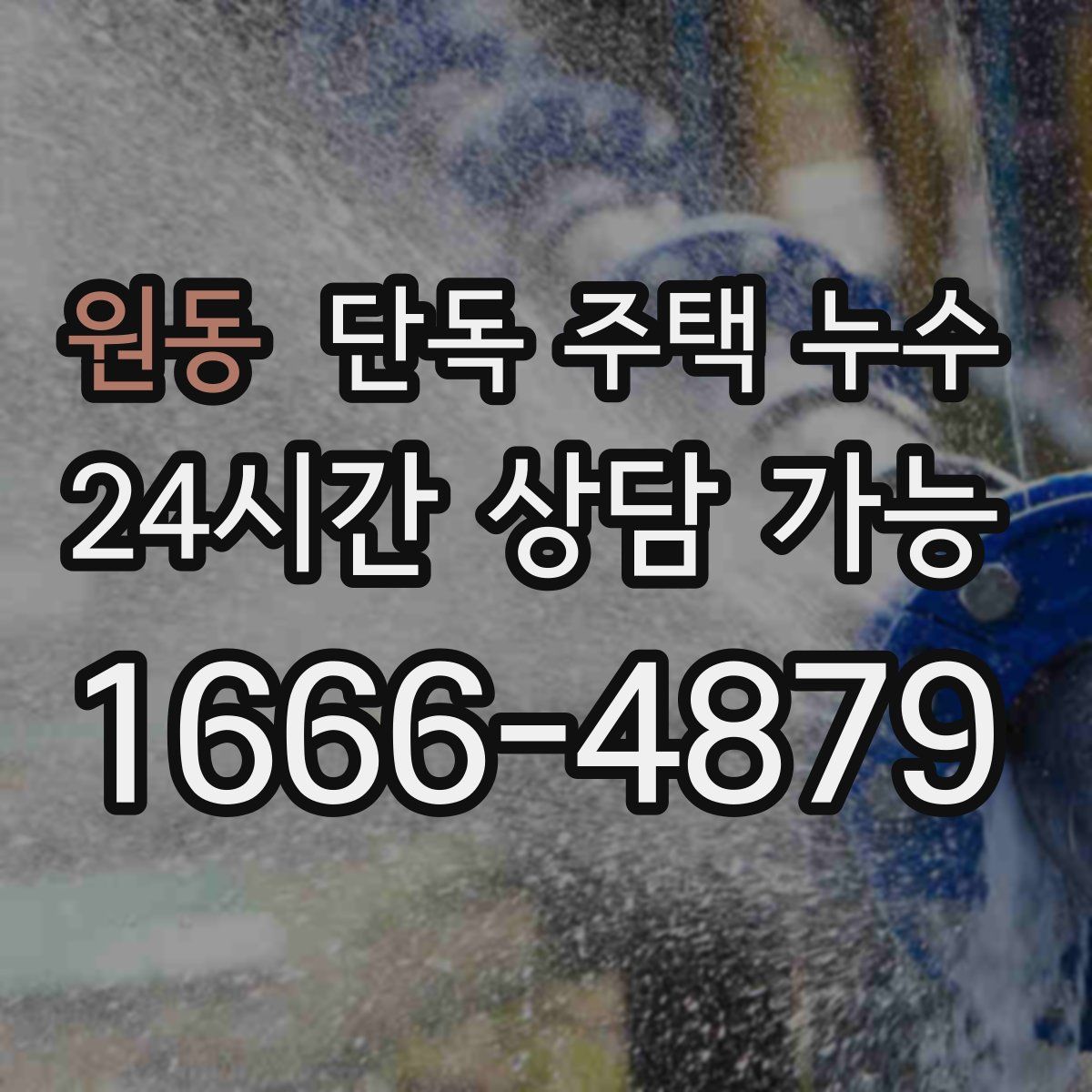 원동 단독 주택 누수
