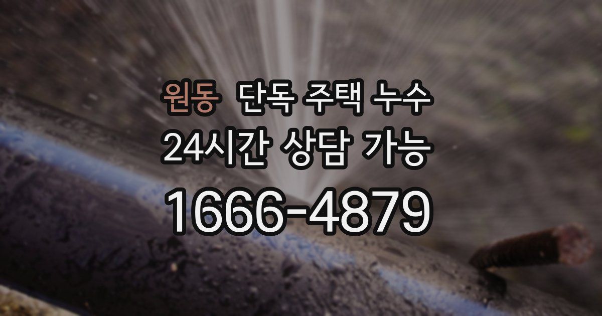 원동 단독 주택 누수