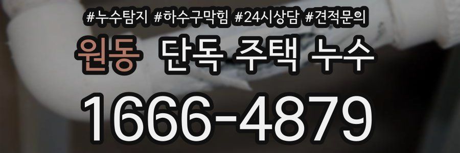 원동 단독 주택 누수