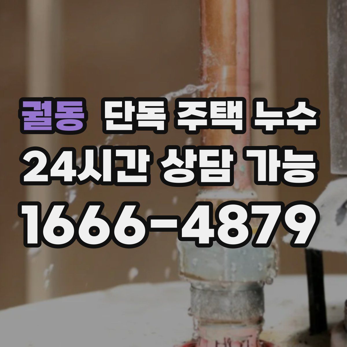 궐동 단독 주택 누수