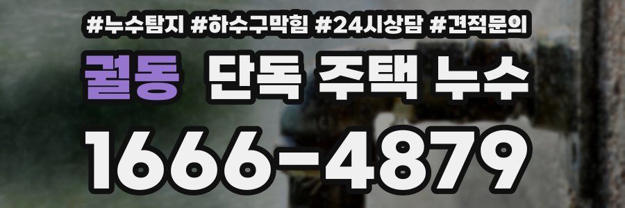 궐동 단독 주택 누수