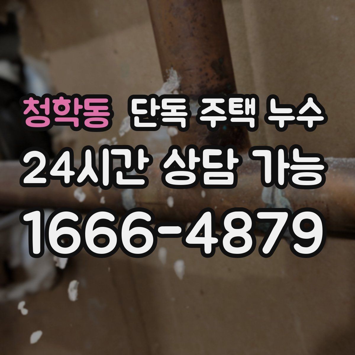 청학동 단독 주택 누수 외벽 쪽 방이 더 축축한 이유