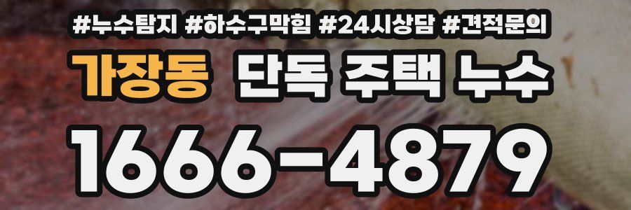 가장동 단독 주택 누수