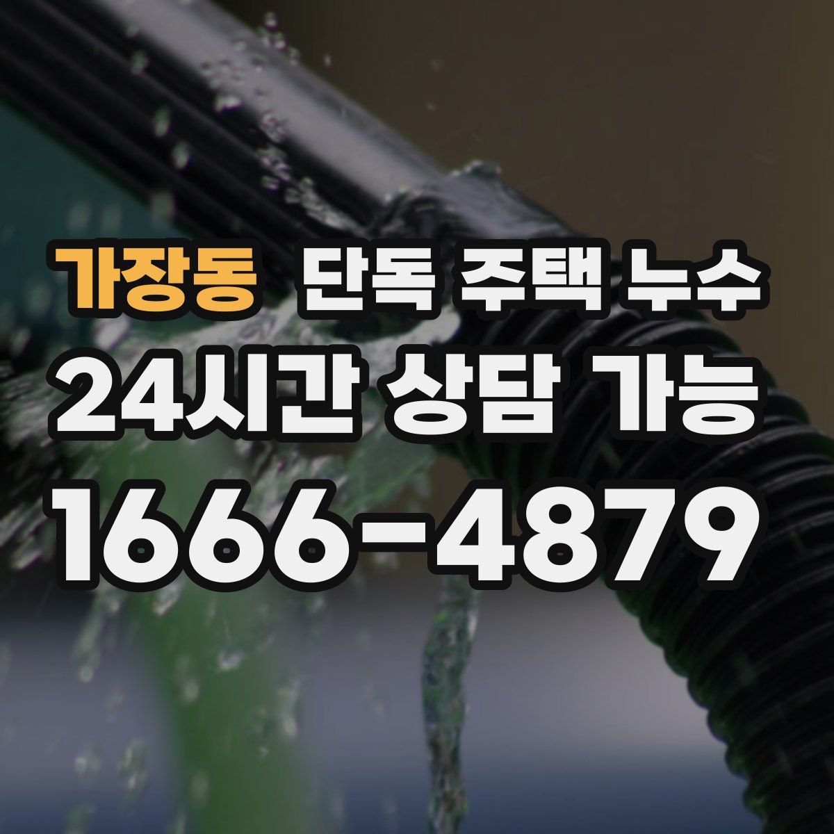 가장동 단독 주택 누수