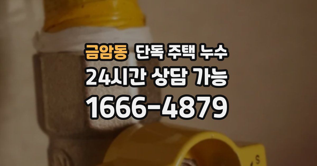 금암동 단독 주택 누수