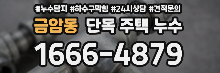 금암동 단독 주택 누수