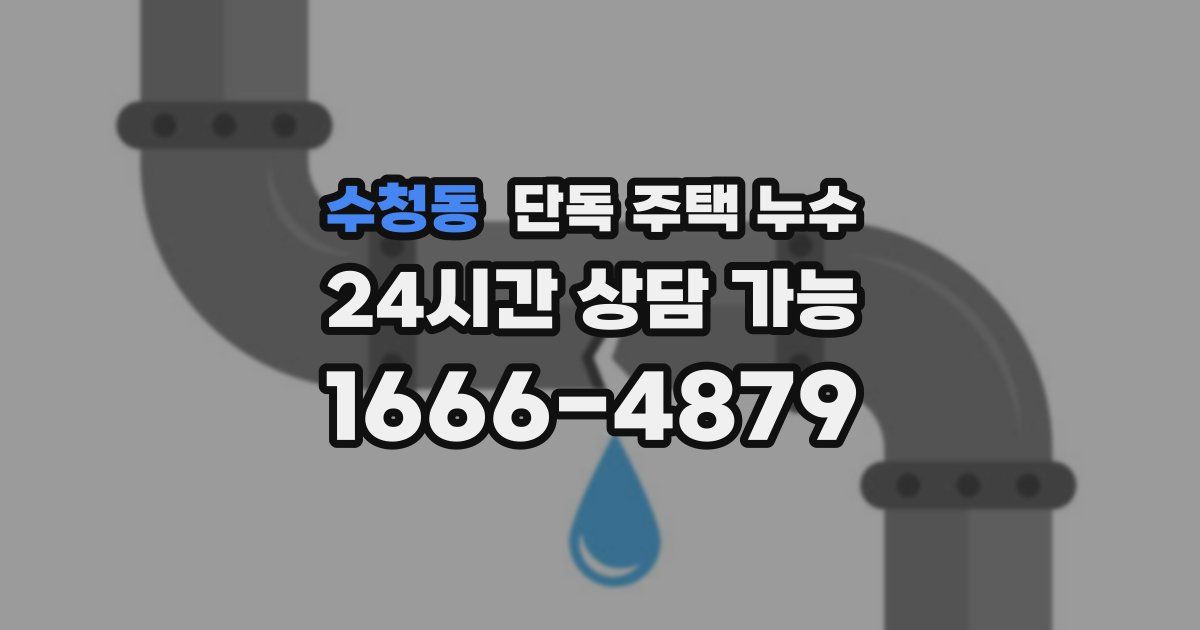 수청동 단독 주택 누수