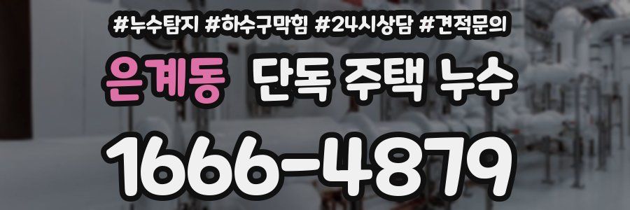 은계동 단독 주택 누수