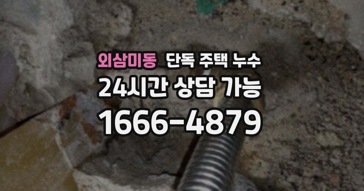 외삼미동 단독 주택 누수