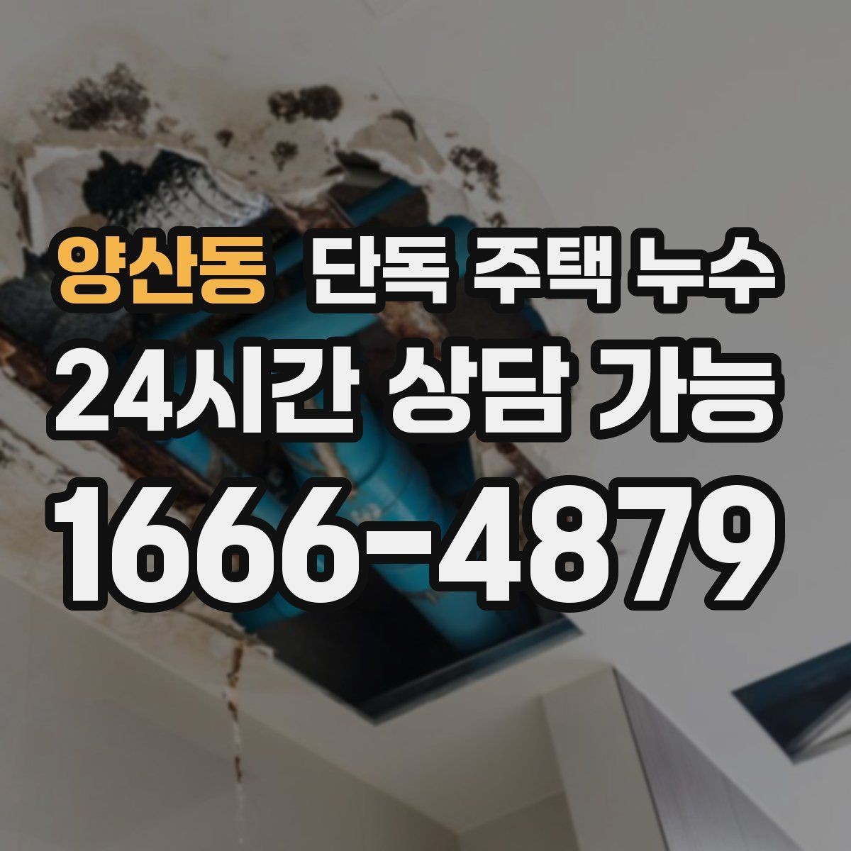 양산동 단독 주택 누수 정수기 연결부 주변 물고임 점검