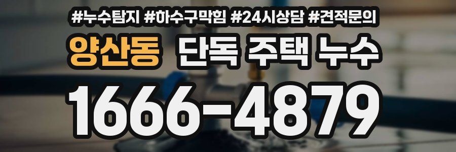 양산동 단독 주택 누수