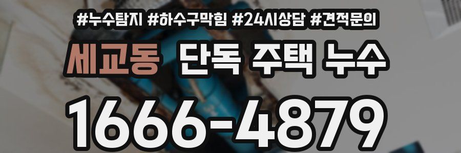 세교동 단독 주택 누수