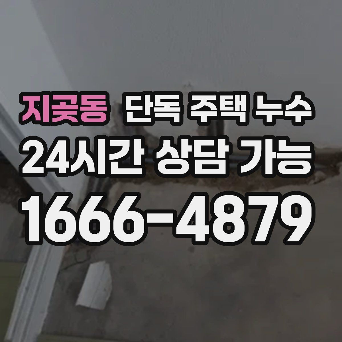 지곶동 단독 주택 누수 욕실 배수구 주변이 계속 젖을 때